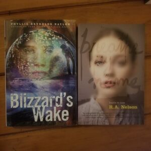 Blizzards Wake and Breathe My Name - Young Adult Books